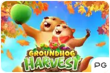 Groundhog-Harvest