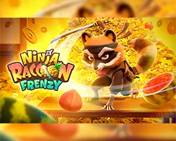 Ninja Raccoon Frenzy